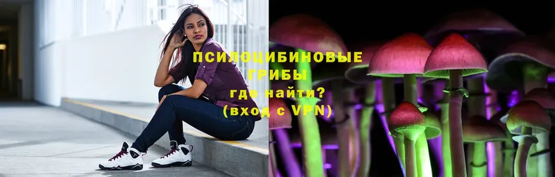 omg ссылка  Гаджиево  Галлюциногенные грибы Psilocybe 