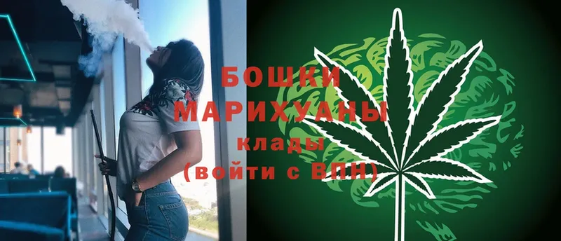 mega как войти  Гаджиево  Бошки марихуана планчик 